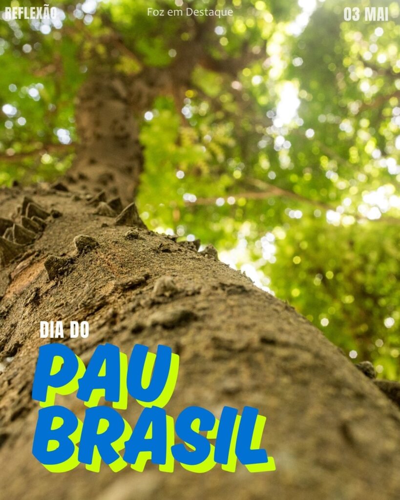 Dia do Pau-Brasil
Datas 03 de maio 2025 Foz em Destaque "Sua Vida mais divertida
