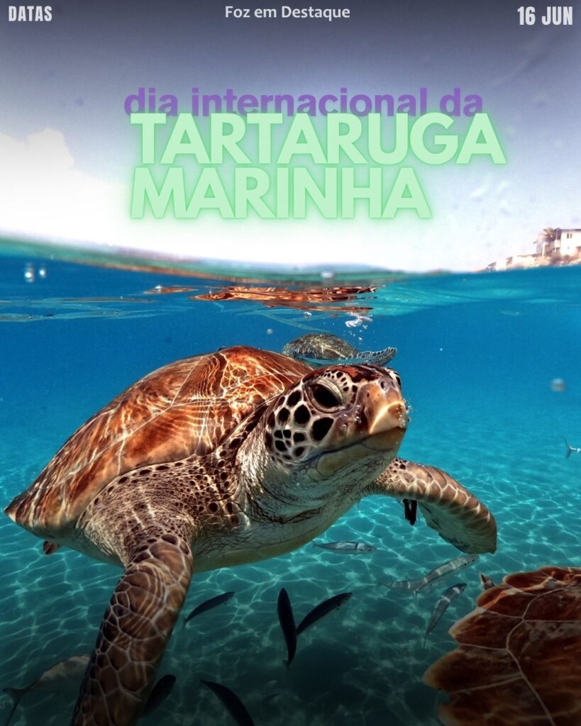 Datas Comemorativas 16 de Junho: Dia da Tartaruga Marinha e Remessas Familiares. Saiba a importância e como ajudar.