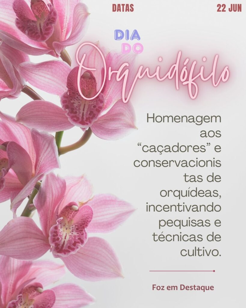 Datas Comemorativas 22 de Junho: descubra origem e participe do Dia do Fusca, Aeroviário, Economiário e Orquidófilo
Datas Foz em Destaque