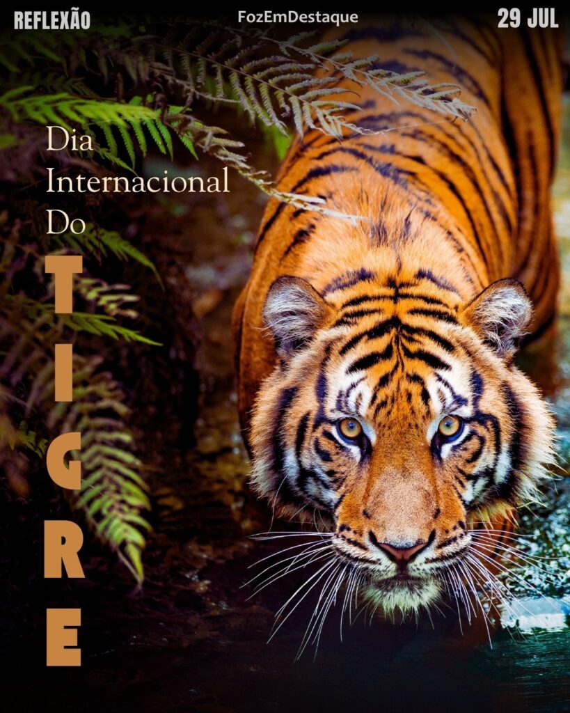 Dia Internacional do Tigre
datas comemorativas 29 julho