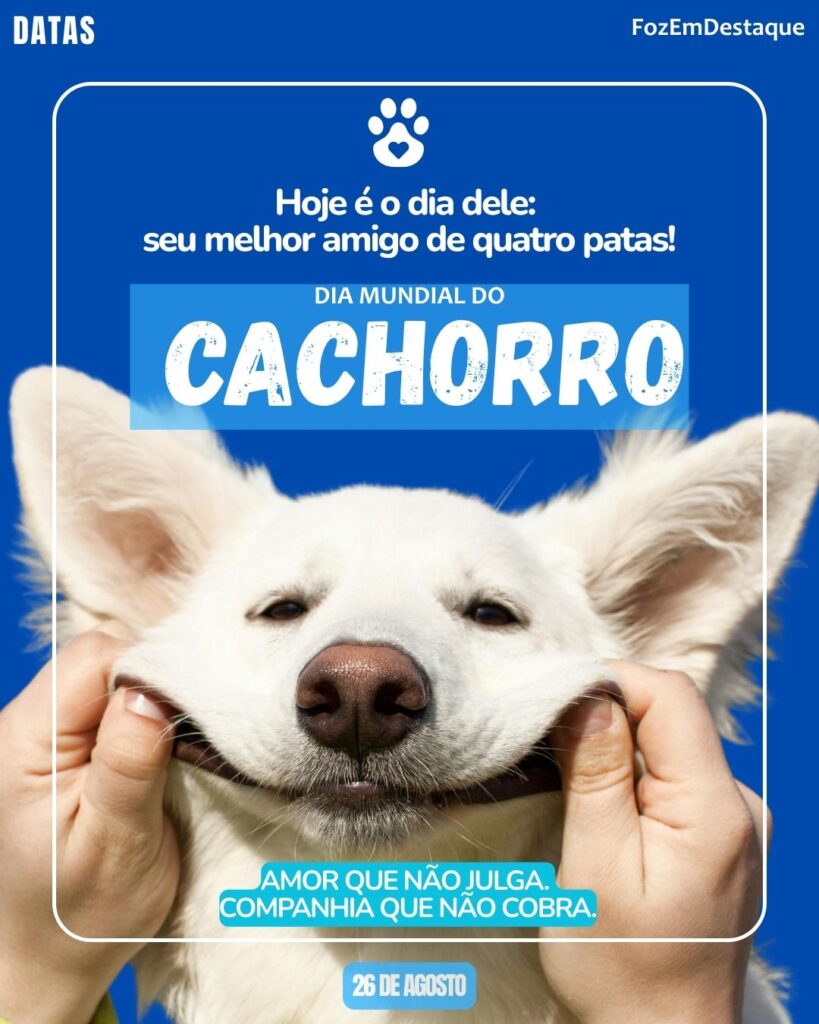 Dia do Cachorro
Igualdade Mulher Cachorro Foz
