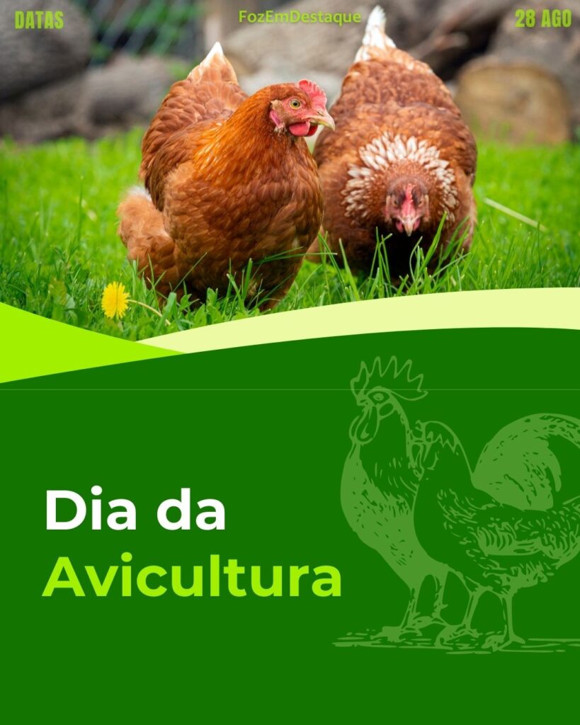 Dia da Avicultura 
Bancários Voluntariado Avicultura