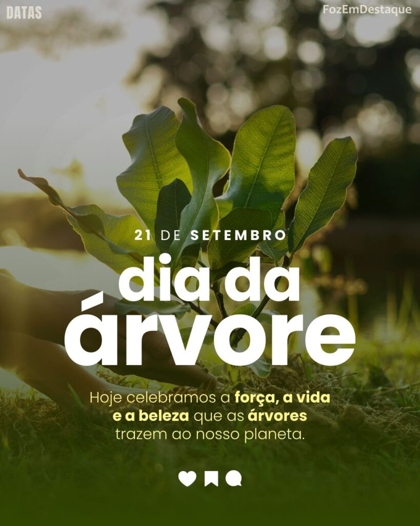 🌳 Dia da Árvore
Datas comemorativas 21 setembro: significados e homenagens
FozEmDestaque #suavidamaisdivertida