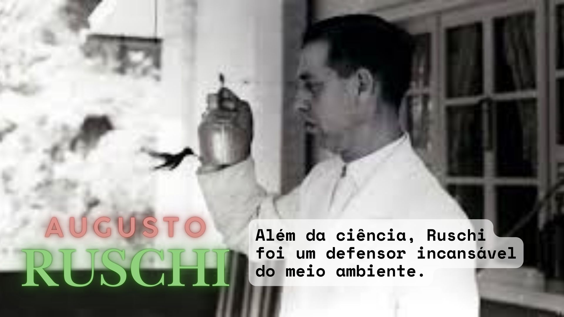 Procurar maravilhas: o segredo de uma vida empolgante segundo Augusto Ruschi Leonardo