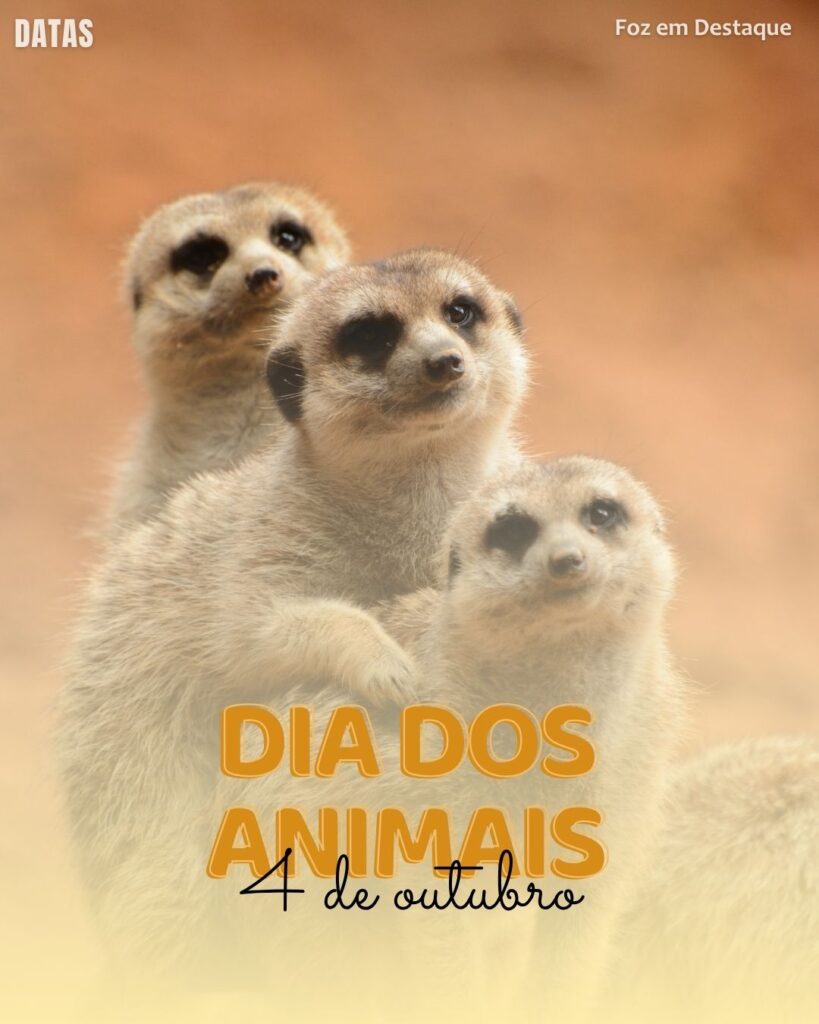  Datas comemorativas 04 outubro
