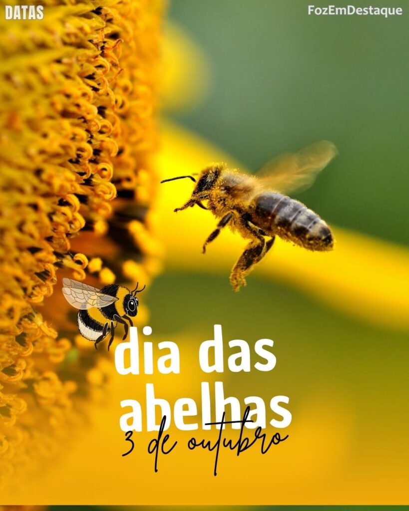 Dia Nacional das Abelhas
FozEmDestaque
Datas comemorativas 3 outubro