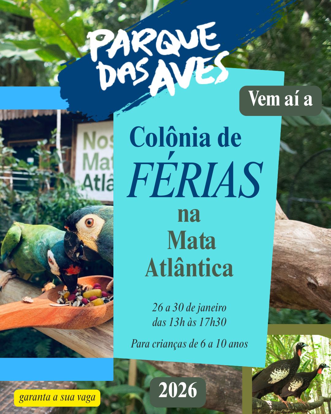 Parque das Aves Transforma Férias em Aventura VIP de Educação Ambiental 1