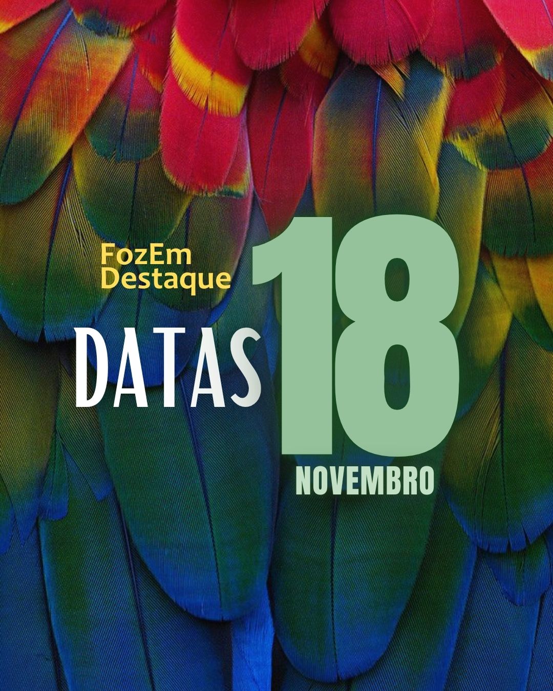 🏛️ O Triunfo da Elegância em 18 de Novembro: Cuidado, Justiça e Paixão 4
