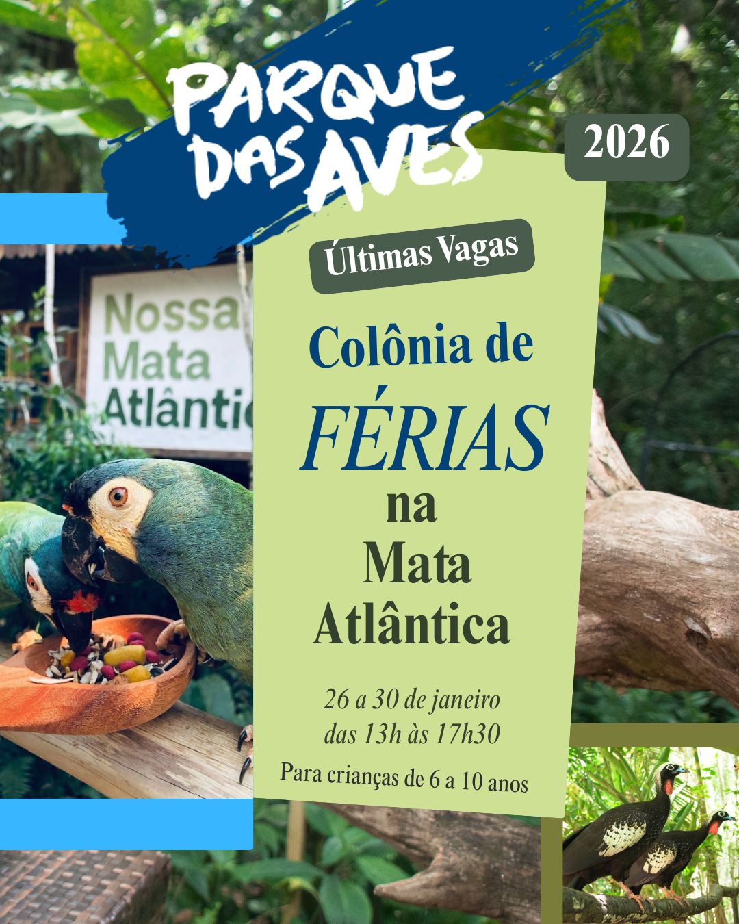 De 26 a 30 de janeiro, o Parque das Aves abre suas portas para uma nova edição de sua aclamada Colônia de Férias.
Férias Parque das Aves