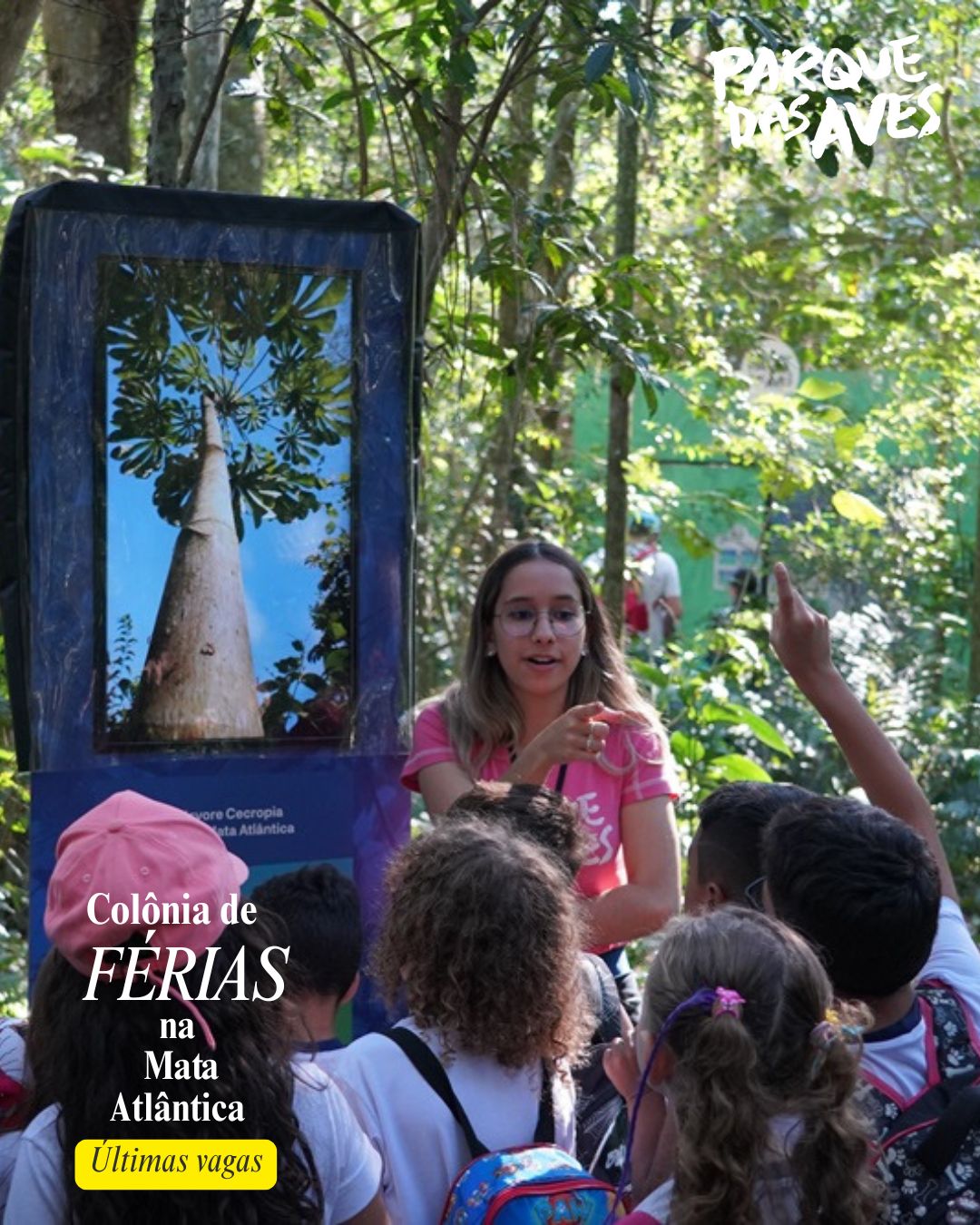 De 26 a 30 de janeiro, o Parque das Aves abre suas portas para uma nova edição de sua aclamada Colônia de Férias.
Férias Parque das Aves