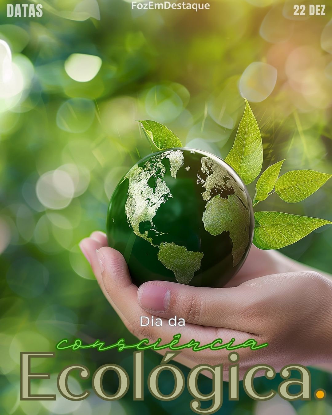 Consciência Ecológica Hoje Foz