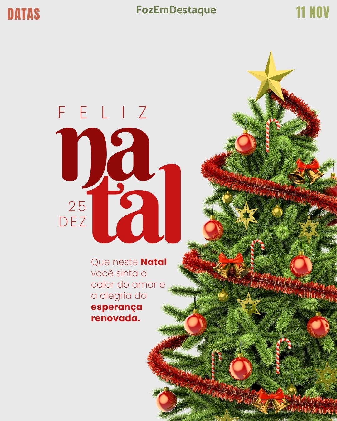 Natal em Foz Celebração
Datas Comemorativas FozEmDestaque