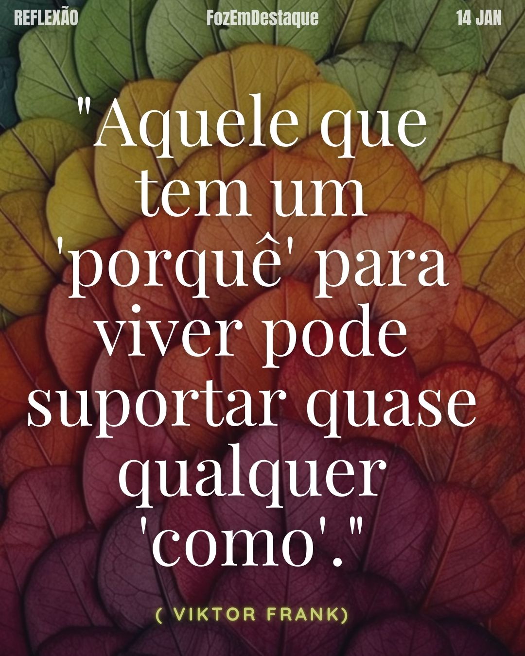 reflexão diaria FozEmDestaque
"Aquele que tem um 'porquê' para viver pode suportar quase qualquer 'como'." – Viktor Frankl