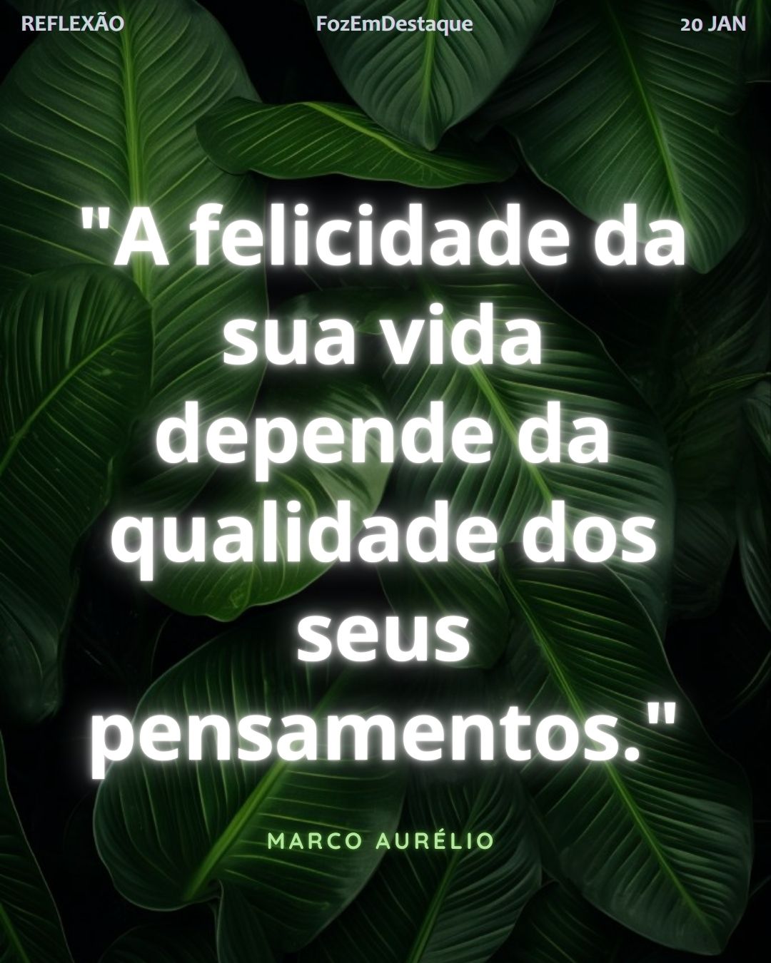"A felicidade da sua vida depende da qualidade dos seus pensamentos."
— Marco Aurélio
Reflexão diaria FozEmDestaque