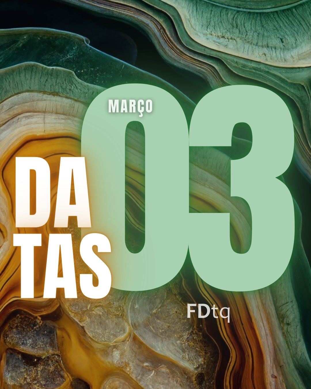 Datas Comemorativas 03-03-2026: Dia da Vida Selvagem e Intendência da Marinha 5